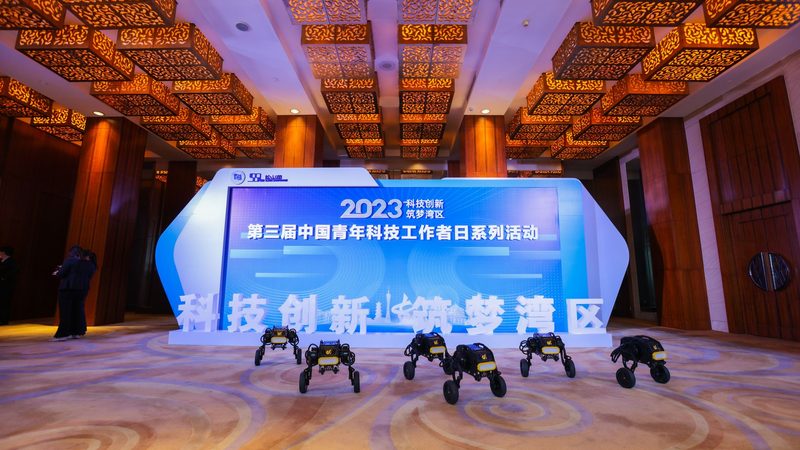 企业数字化安全风险排查：步骤与要点解析